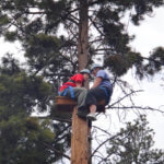 Photo Gallery: Counselor Helping Teen Climb During Team Day