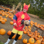 Photo Gallery: Teen Dressed as the Flash for Halloween