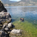 Photo Gallery: Young Teens Having Fun after Jumping into the Lake