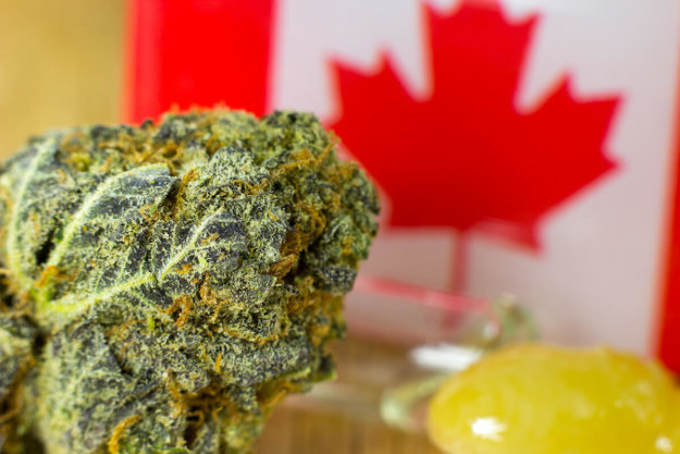a marijuana plant in front of the Canadian flag representing marijuana legalization in Canada
